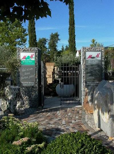Olivenbäume für Ihr Gartenambiente - Michael Hahn Gartenbau - Ausstellung